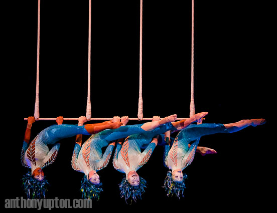 20100103 Copyright image 2010©
Triple Trapeze - Rebecca Jose, Jade Morin, Michele Ramos and Stella Umeh
Cirque du Soleil celebrates its 25th anniversary with a special return visit to the Royal Albert Hall with Varekai in January 2010.
The word Varekai means 'wherever' in the Romany language of the gypsies, the universal wanderers.
Dress rehearsal for the new Cirque du Soleil show - Varekai, at the Royal Albert Hall, central London, on Sunday 3rd January 2010. The show opens 6th January.
For photographic enquiries please call Anthony Upton 07973 830 517 or email info@anthonyupton.com
This image is copyright Anthony Upton 2010©.
This image has been supplied by Anthony Upton and must be credited Anthony Upton. The author is asserting his full Moral rights in relation to the publication of this image. All rights reserved. Rights for onward transmission of any image or file is not granted or implied. Changing or deleting Copyright information is illegal as specified in the Copyright, Design and Patents Act 1988. If you are in any way unsure of your right to publish this image please contact Anthony Upton on +44(0)7973 830 517 or email: <info@anthonyupton.com> 20100103 Copyright image 2010©
Triple Trapeze - Rebecca Jose, Jade Morin, Michele Ramos and Stella Umeh
Cirque du Soleil celebrates its 25th anniversary with a special return visit to the Royal Albert Hall with Varekai in January 2010.
The word Varekai means 'wherever' in the Romany language of the gypsies, the universal wanderers.
Dress rehearsal for the new Cirque du Soleil show - Varekai, at the Royal Albert Hall, central London, on Sunday 3rd January 2010. The show opens 6th January.
For photographic enquiries please call Anthony Upton 07973 830 517 or email info@anthonyupton.com
This image is copyright Anthony Upton 2010©.
This image has been supplied by Anthony Upton and must be credited Anthony Upton. The author is asserting his full Moral rights in relation to the publication of this image. All rights reserved. Rights for onward transmission of any image or file is not granted or implied. Changing or deleting Copyright information is illegal as specified in the Copyright, Design and Patents Act 1988. If you are in any way unsure of your right to publish this image please contact Anthony Upton on +44(0)7973 830 517 or email: <info@anthonyupton.com>